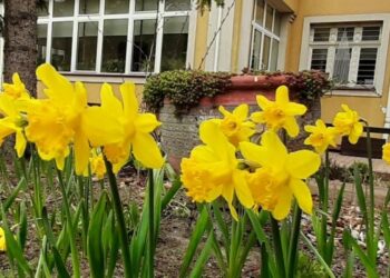 Opowieść o czytaniu w wannie i na dyskotece oraz wdzięczności, nadziei i cudzie w hospicjum