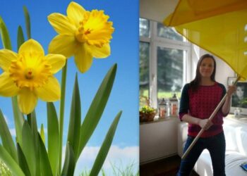 ’- Jak Ty dajesz radę? „Normalny” człowiek ucieka od śmierci, a Ty w tym hospicjum, to można zwariować