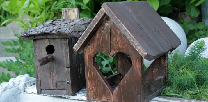 Rąbie drzewo, robi budki dla ptaków, postawił płot – umiejętności niewidomego z Brachlewa budzą respekt