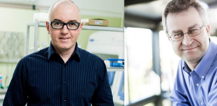 prof Piotrowski i Dumalski