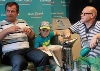 Ireneusz Kowalewski zbiera pszczoły w mieście. Poznaj miejskiego pszczelarza z Gdańska