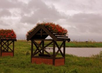 Jest się czym pochwalić. W Pszczółkach żwirownię zamienili w park ekologiczny