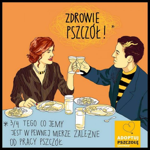 Pszczoły potrzebują Narodowej Strategii Ochrony Owadów Zapylających