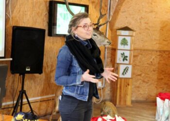 Zapraszają ptaki do Gdyni. Zbudowali 50 budek i 200 karmników, które zostaną rozdane mieszkańcom miasta