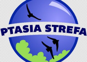 Kuba Typiak – warto dokarmiać ptaki, byle mądrze