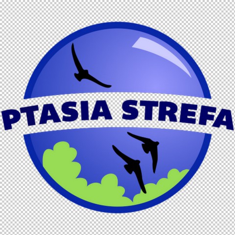 Kuba Typiak – warto dokarmiać ptaki, byle mądrze