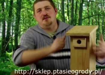 Ptasia Strefa – telewizja dla miłośników ptaków