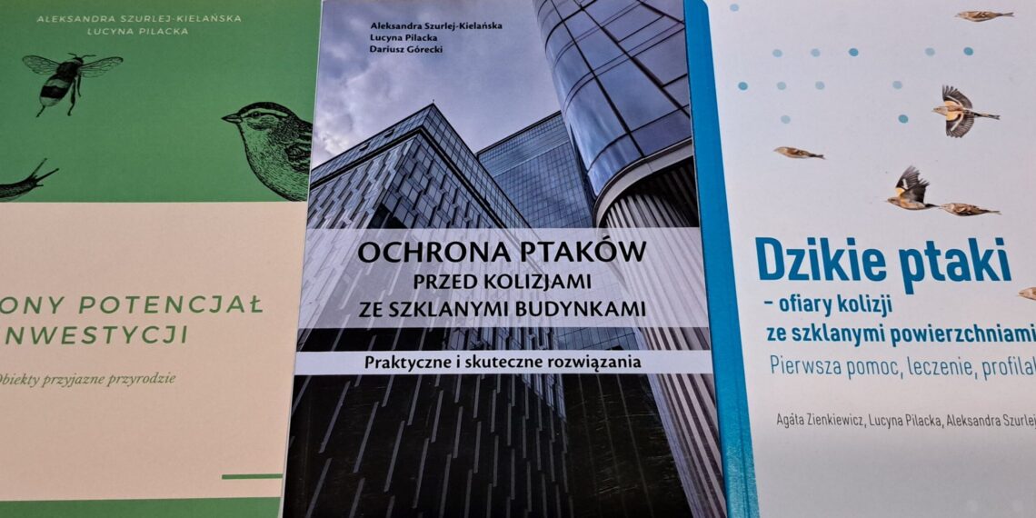 Ptaki i szyby. W trosce o inwestycje przyjazne dla dzikiej przyrody