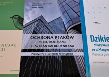 Ptaki i szyby. W trosce o inwestycje przyjazne dla dzikiej przyrody