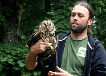 Ostoja wypuszcza puszczyki. Małe ptasie święto w Mirachowie