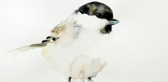 rabiega - sikora uboga