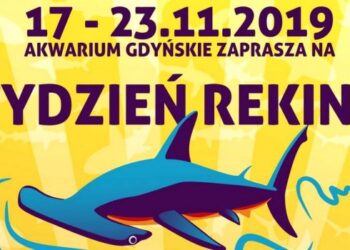 Zanurkuj w świat rekinów. Akwarium Gdyńskie zaprasza na tydzień z fenomenalnymi zwierzętami