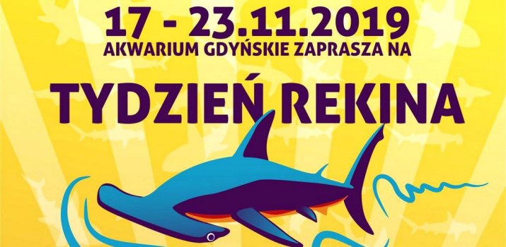 Zanurkuj w świat rekinów. Akwarium Gdyńskie zaprasza na tydzień z fenomenalnymi zwierzętami