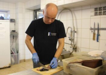 Rekiny nie jedzą ludzi, to ludzie jedzą rekiny. Dowody znajdziesz w Akwarium Gdyńskim