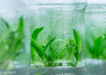 Ewa Łojkowska, Aleksandra Królicka – tajemnice są tajemnicze, gdy ich nie rozumiemy