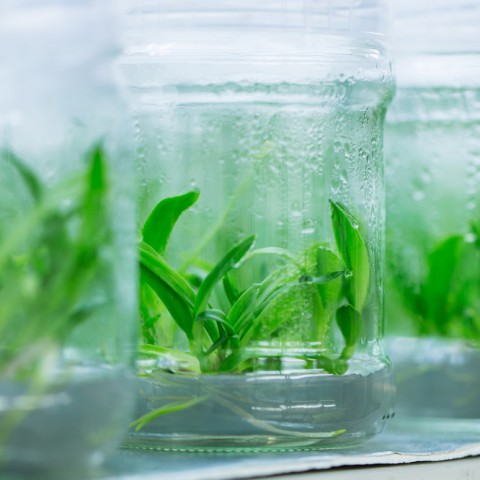 Ewa Łojkowska, Aleksandra Królicka – tajemnice są tajemnicze, gdy ich nie rozumiemy