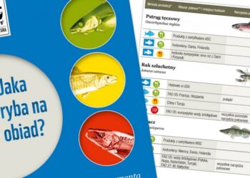 WWF zachęca – mądrze kupuj ryby – na co dzień i od święta