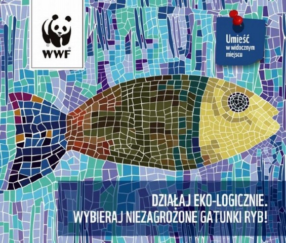 ryby wwf