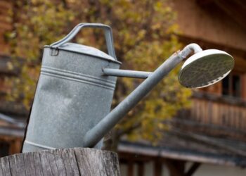 Łap deszczówkę, jest lepsza dla roślin niż woda z kranu