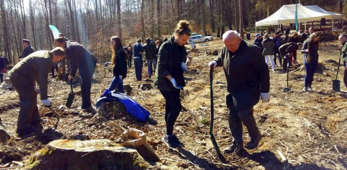 Jak się sadzi las? Chcesz spróbować? Dołącz do leśników