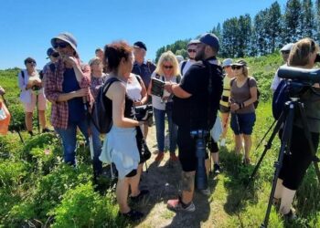 Ptasie wycieczki z przewodnikiem na Mierzeję i do Ujścia Wisły