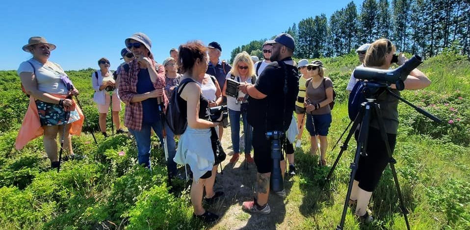 Ptasie wycieczki z przewodnikiem na Mierzeję i do Ujścia Wisły