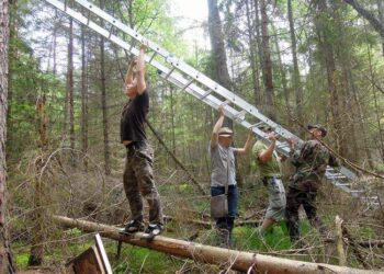 „To są domki na wypasie” – eksperymentalne budki dla sów w Trójmiejskim Parku Krajobrazowym