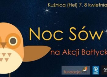 Akcja Bałtycka zaprasza na nocne ognisko w lesie i spotkanie z sowami