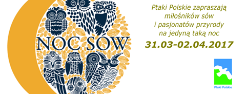 Nietypowa pasja Pana Darka, kierowca nocami chodzi na sowy