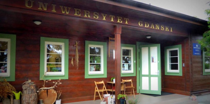 Prawie każdy kamień znaleziony nad Bałtykiem może być skarbem