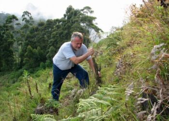 Światowy autorytet opowiada o storczykach i wystawie kwiatów w Sopocie