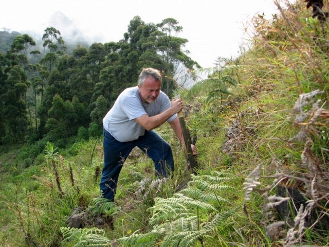 Światowy autorytet opowiada o storczykach i wystawie kwiatów w Sopocie