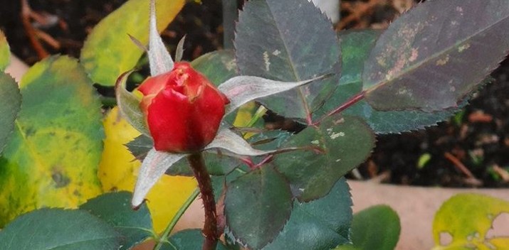 styczeń 2020 fot Kasia Katarzyna