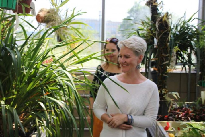 świat storczyków 2