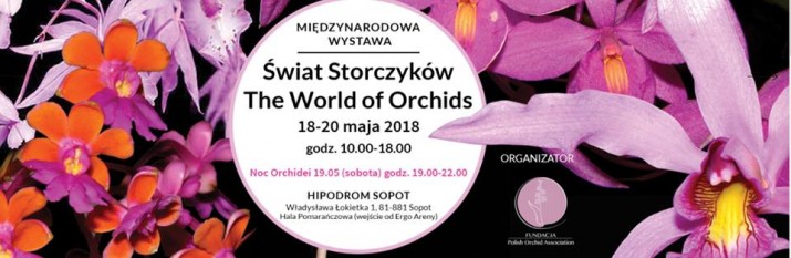 świat storczzyków 3