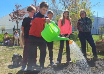 Szkolne ogrody warzywne, rabaty, nasadzenia. Jak to się robi w Gdańsku?