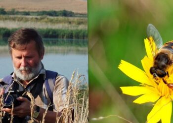 W bałaganie jest więcej życia niż w sterylnie perfekcyjnym świecie