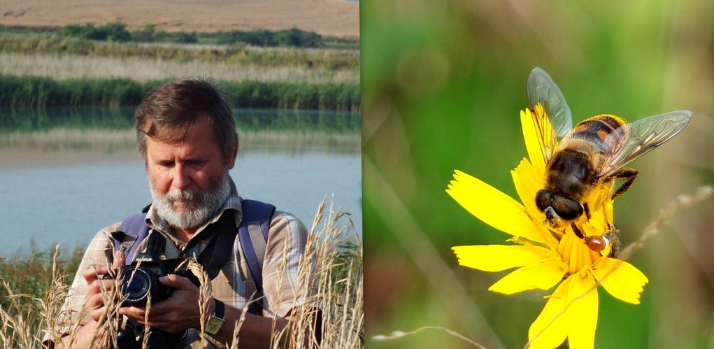 W bałaganie jest więcej życia niż w sterylnie perfekcyjnym świecie