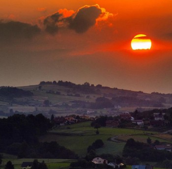 anita demianowicz 3 copy