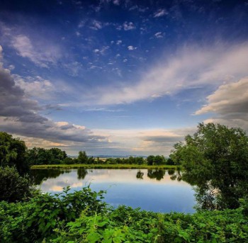 anita demianowicz 5 copy