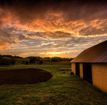 anita demianowicz 6 copy