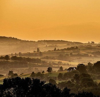 anita demianowicz 8 copy