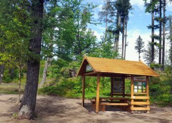 Pracownicy Trefla i leśnicy z Lipusza zapraszają na otwarcie ścieżki dydaktycznej Tuszkowska Matka