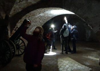 Co zrobić, gdy trafi się kilka kilogramów nietoperzy? Rozmowa o liczeniu i rehabilitacji latających ssaków