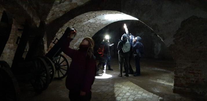 Co zrobić, gdy trafi się kilka kilogramów nietoperzy? Rozmowa o liczeniu i rehabilitacji latających ssaków