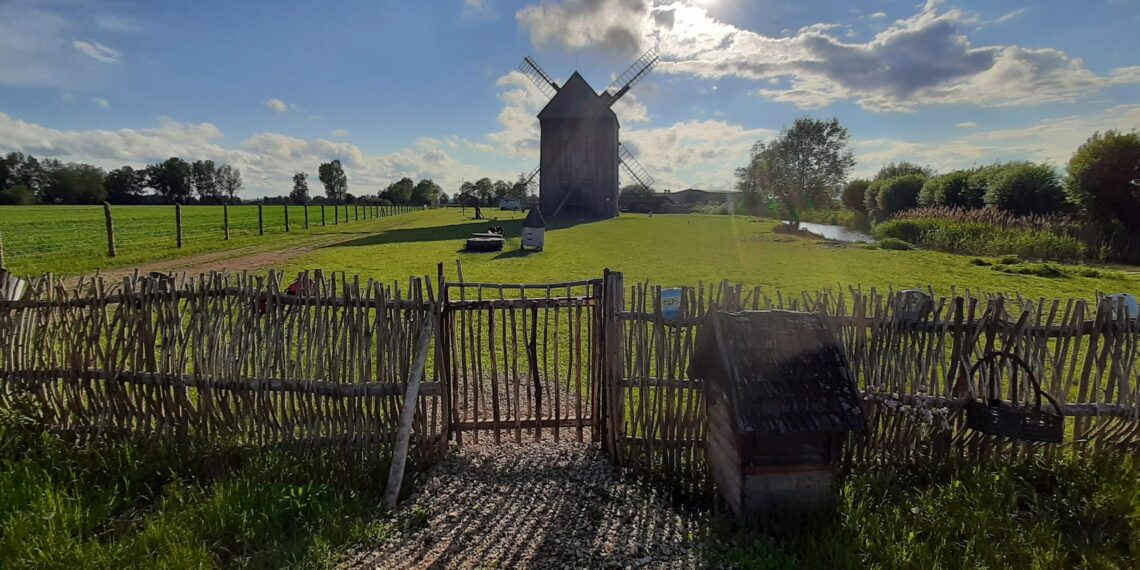 Jest rolnikiem, piekarzem i… prząśniczką, Sołtys z Mokrego Dworu i jego fantastyczne pomysły