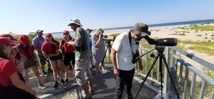 Jedyne takie miejsce w Polsce gdzie prawie zawsze zobaczyć można foki