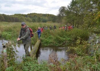 Zje pokrzywę i zagryzie mleczem, tak robi prawdziwy wanoga. Podróż nieoczywista z Piotrem Kowalewskim