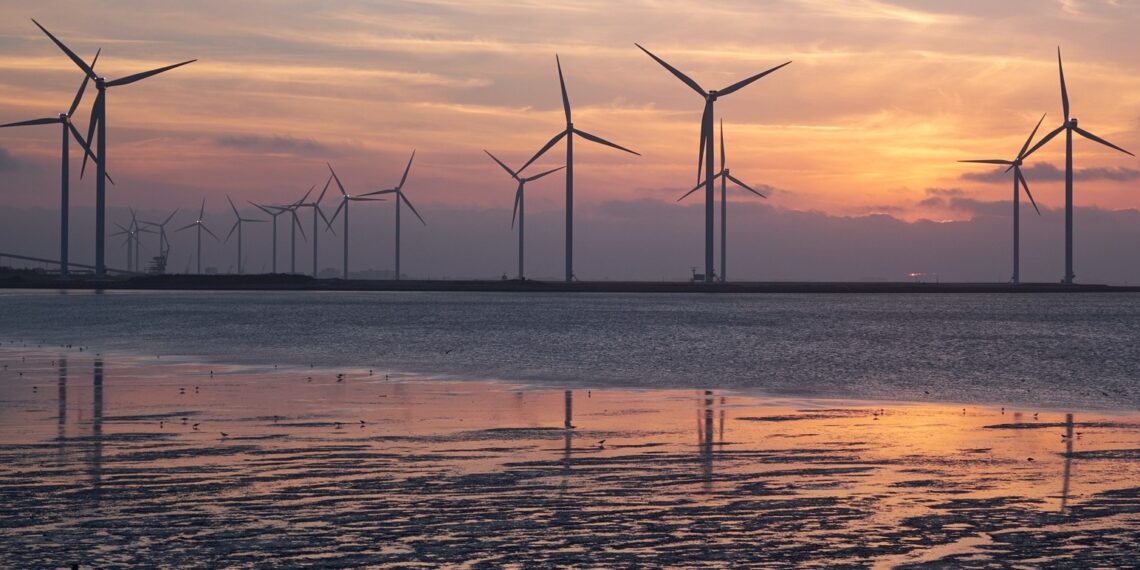 Polskie firmy chcą rozwijać farmy wiatrowe. „Ten obszar generuje popyt nowego typu”