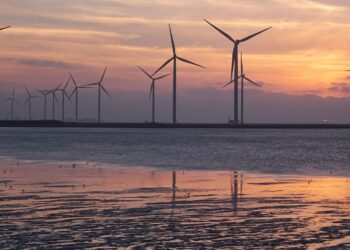 Polskie firmy chcą rozwijać farmy wiatrowe. „Ten obszar generuje popyt nowego typu”